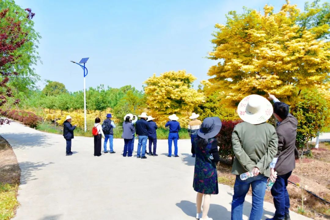 尊龙凯时官网(中国游)人生就是搏!